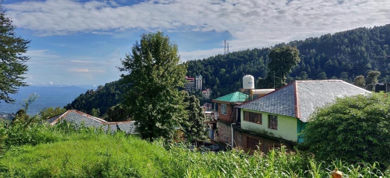 White Rabbit Guest House Dharamshala Exterior photo